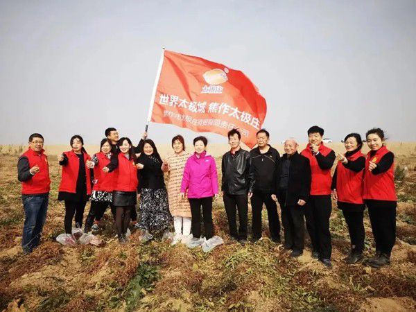 11月12日，眾人翹首以盼的太極莊山藥采挖活動(dòng)在太極莊公司的溫縣·富硒鐵棍山藥標(biāo)準(zhǔn)化種植基地拉開帷幕